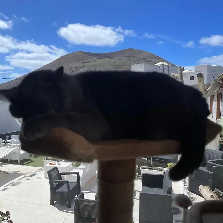 Hotelito Rural Ga7colores Only Adult Montana Blanca