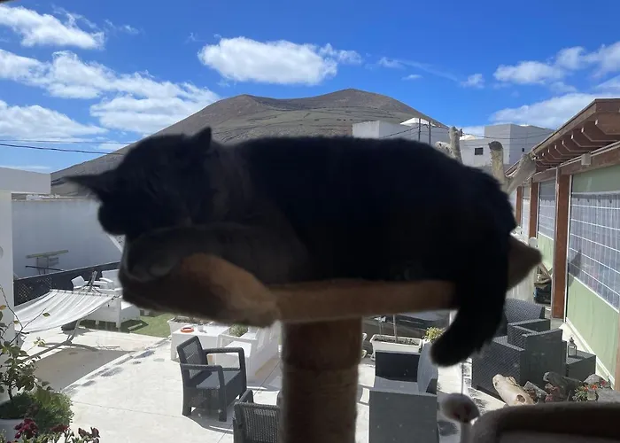 Hotelito Rural Ga7colores Only Adult Montana Blanca